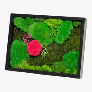 Tablou Natural Cu Mușchi Licheni Și Trandafir Criogenat Roz Închis 30x40 Cm Decor Elegant Pentru Sufragerie Sau Birou - Trandafir - Criogenat.ro