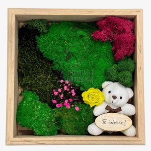 Tablou Natural cu Mușchi Licheni Trandafir Criogenat și Ursuleț o Declarație de Dragoste Unică - Trandafir - Criogenat.ro
