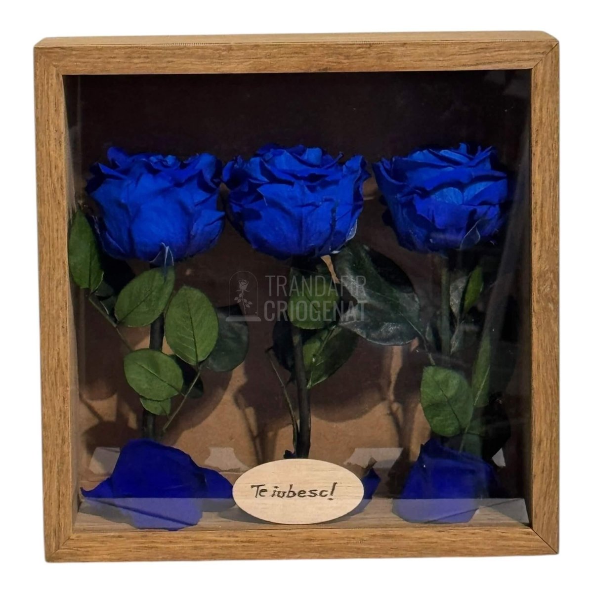 Tablou Personalizat 3 Trandafiri Criogenați Albaștri și Mesaj Special Exclusiv 27x27 cm - Trandafir - Criogenat.ro