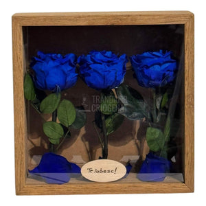 Tablou Personalizat 3 Trandafiri Criogenați Albaștri și Mesaj Special Exclusiv 27x27 cm - Trandafir - Criogenat.ro