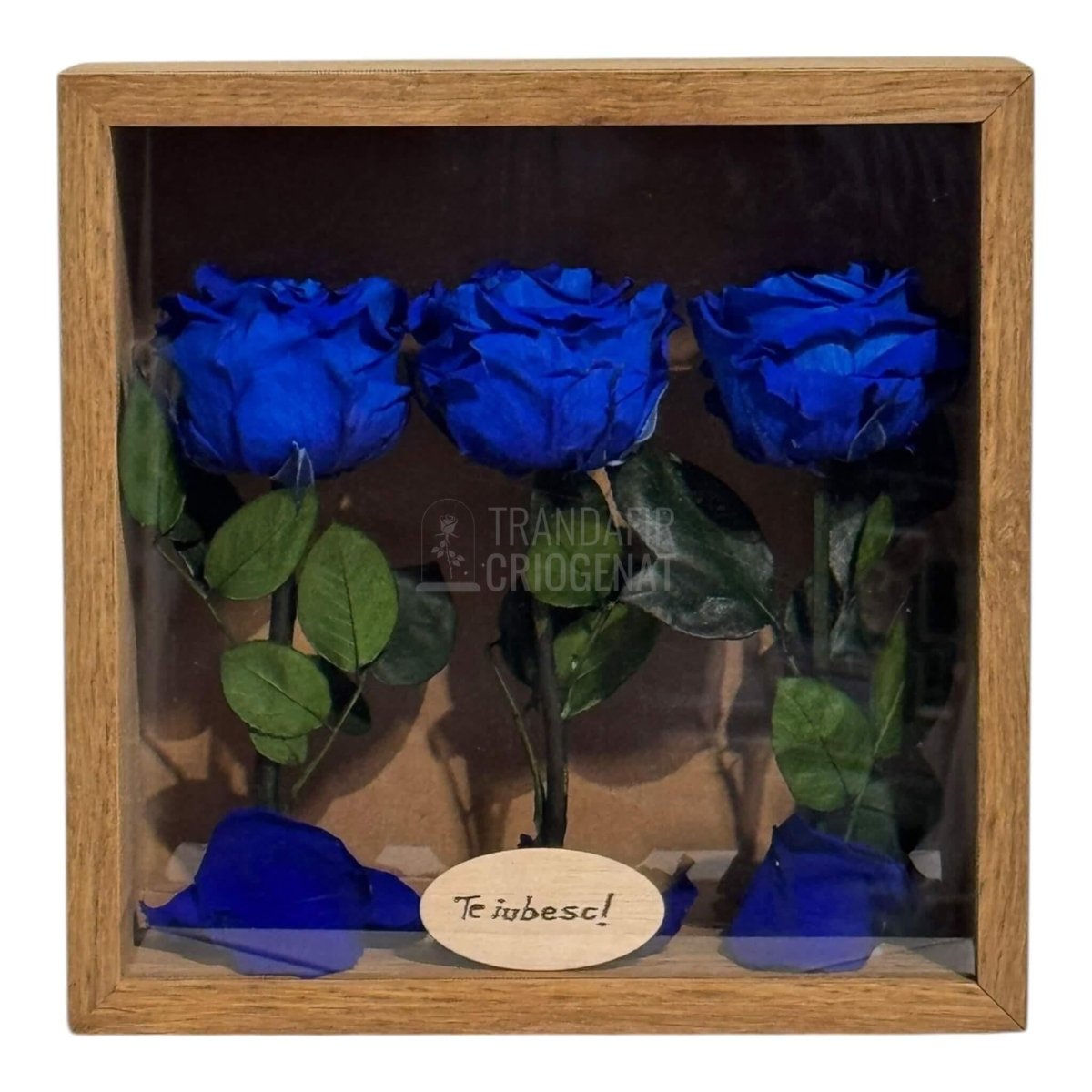 Tablou Personalizat 3 Trandafiri Criogenați Albaștri și Mesaj Special Exclusiv 27x27 cm - Trandafir - Criogenat.ro