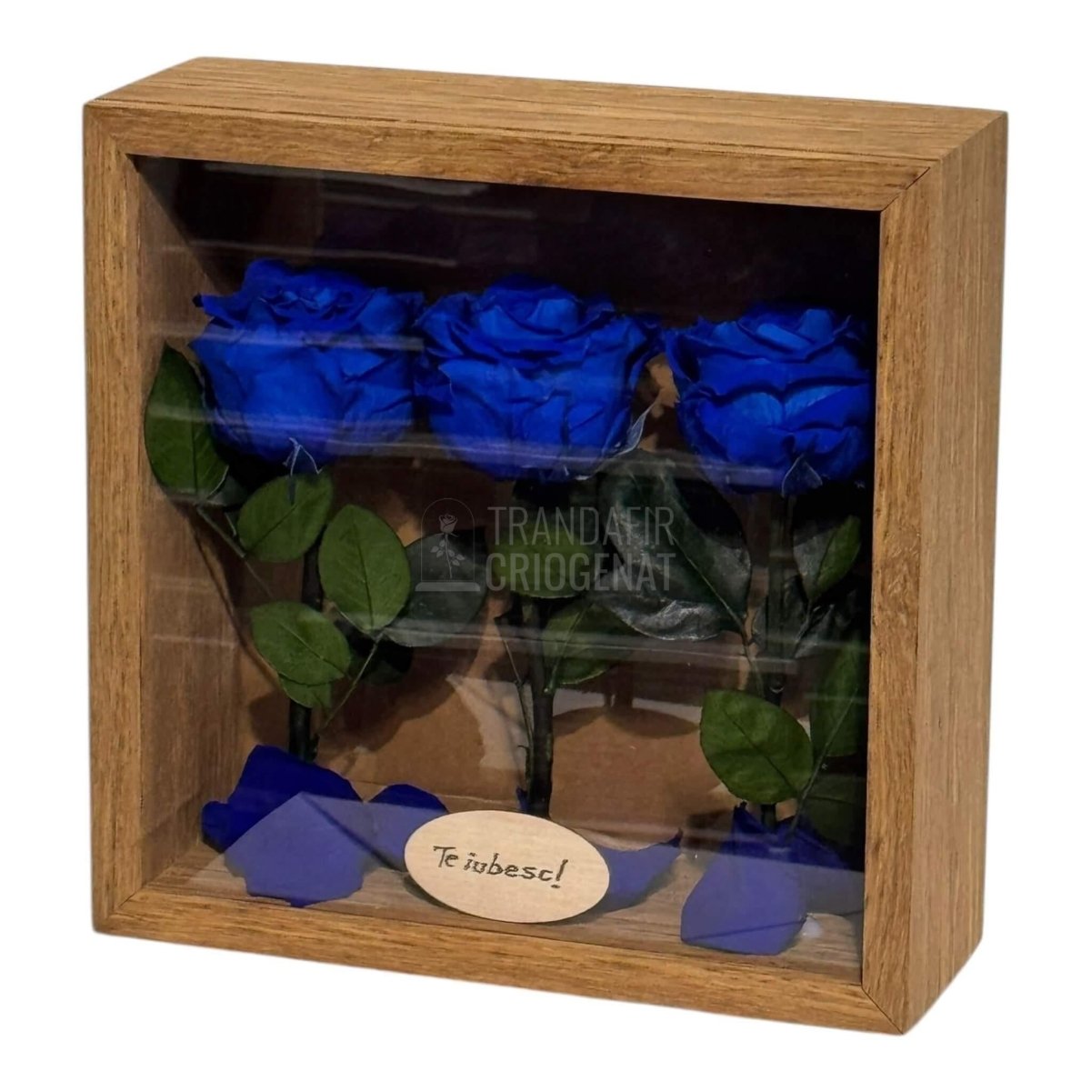 Tablou Personalizat 3 Trandafiri Criogenați Albaștri și Mesaj Special Exclusiv 27x27 cm - Trandafir - Criogenat.ro