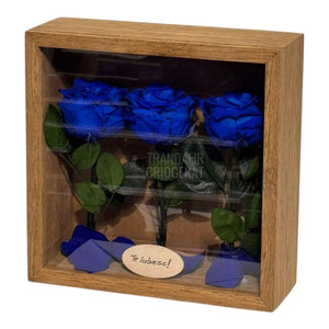 Tablou Personalizat 3 Trandafiri Criogenați Albaștri și Mesaj Special Exclusiv 27x27 cm - Trandafir - Criogenat.ro