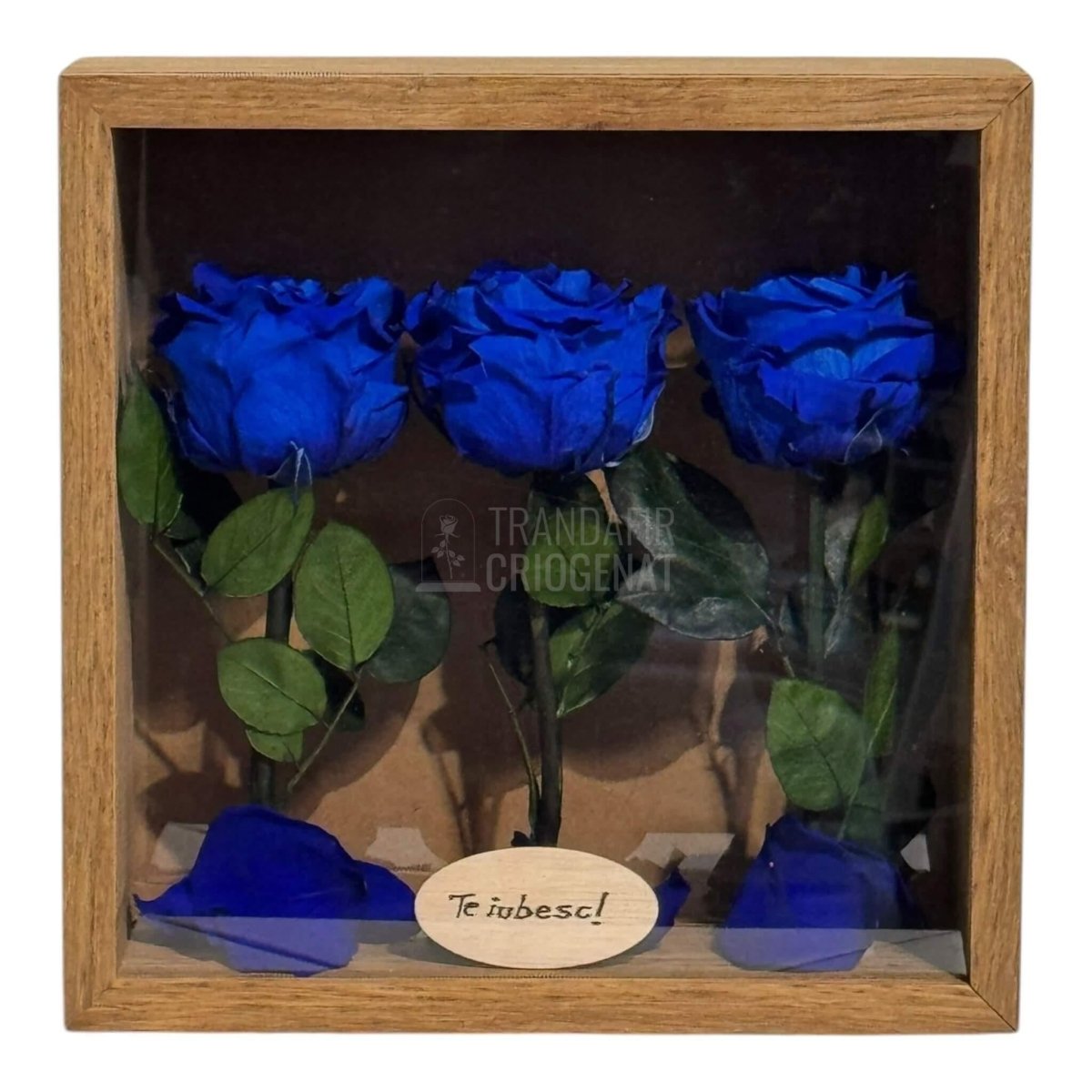 Tablou Personalizat 3 Trandafiri Criogenați Albaștri și Mesaj Special Exclusiv 27x27 cm - Trandafir - Criogenat.ro