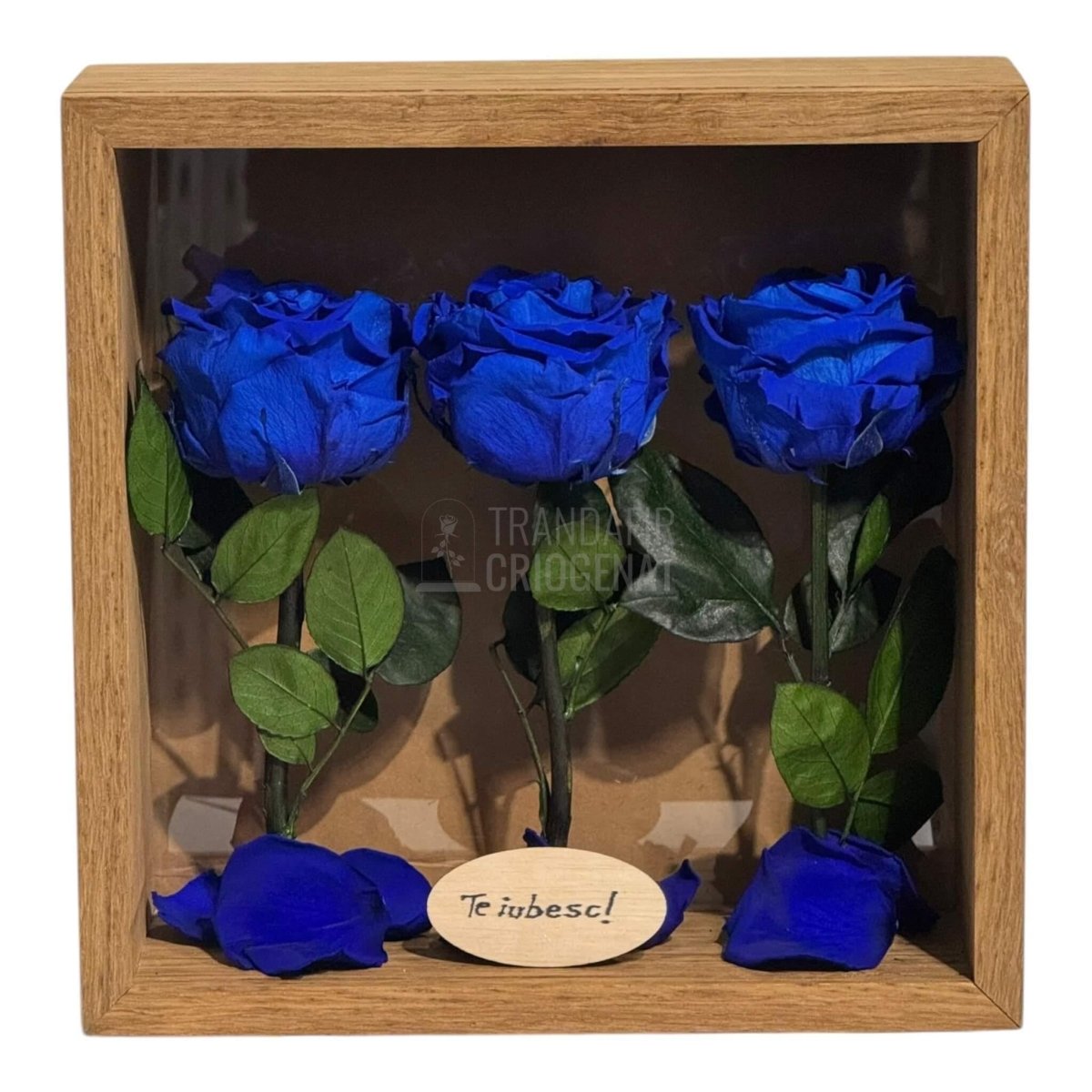 Tablou Personalizat 3 Trandafiri Criogenați Albaștri și Mesaj Special Exclusiv 27x27 cm - Trandafir - Criogenat.ro