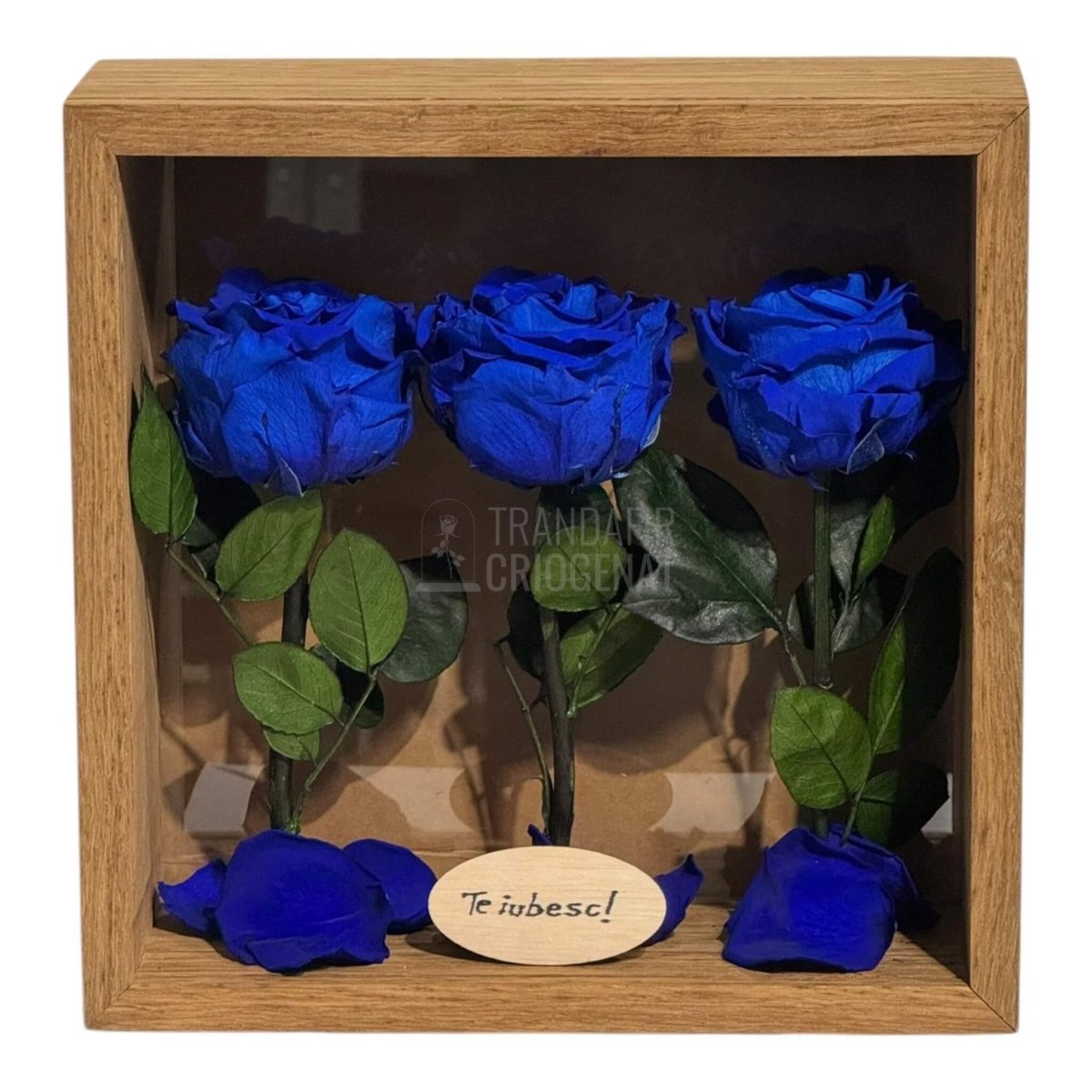 Tablou Personalizat 3 Trandafiri Criogenați Albaștri și Mesaj Special Exclusiv 27x27 cm - Trandafir - Criogenat.ro