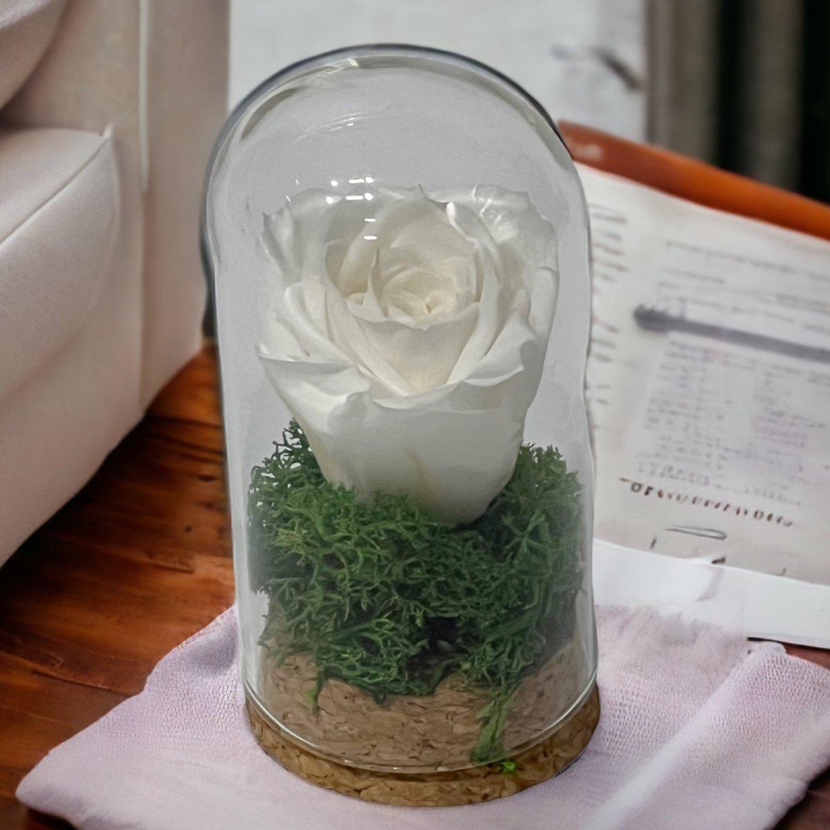 Trandafir Criogenat Alb În Cupolă De Sticlă Cadou Elegant 5x9,5cm Premium - Trandafir - Criogenat.ro