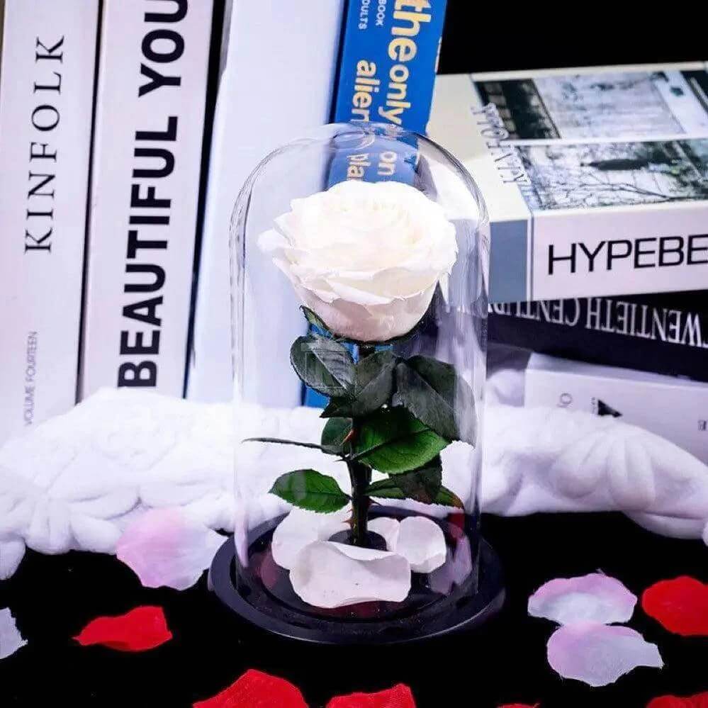 Trandafir Criogenat Alb Premium Ø8cm În Cupolă De Sticlă 12x25cm Cadou Elegant - Trandafir - Criogenat.ro