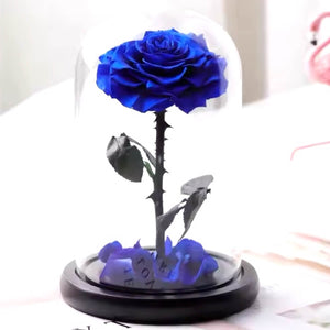 Trandafir Criogenat Albastru Bonita Cu Cupolă De Sticlă Și Mesaj Personalizat - Trandafir - Criogenat.ro