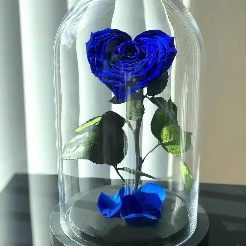 Trandafir Criogenat Albastru În Formă De Inimă Ø9cm În Cupolă Elegantă 15x25cm - Trandafir - Criogenat.ro