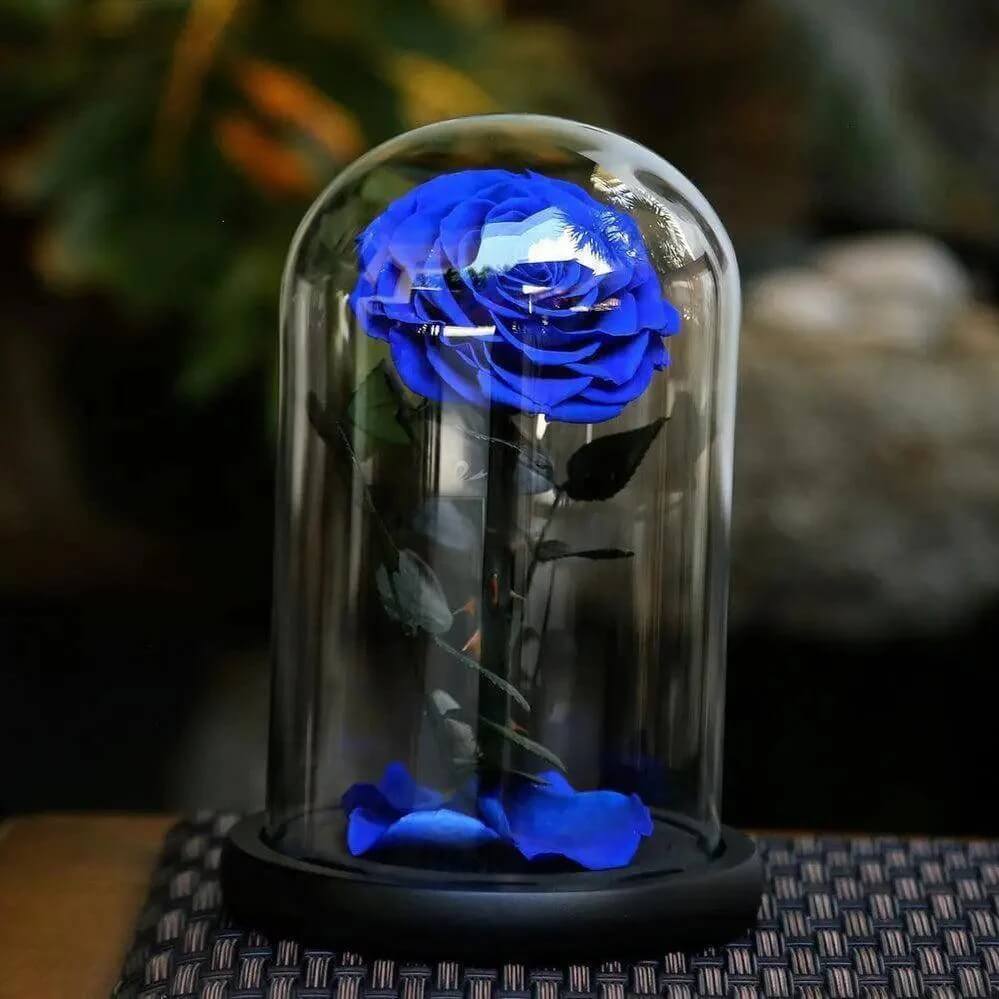 Trandafir Criogenat Albastru Mare Cu Cupolă De Sticlă Cadou Elegant Cu Ambalaj - Trandafir - Criogenat.ro