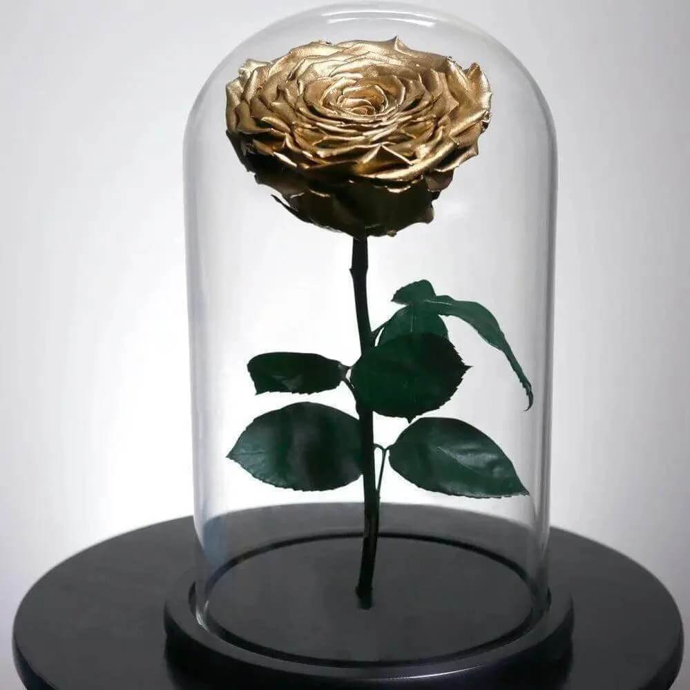 Trandafir Criogenat Auriu XXL În Cupolă Elegantă De Sticlă Cadou Nemuritor - Trandafir - Criogenat.ro