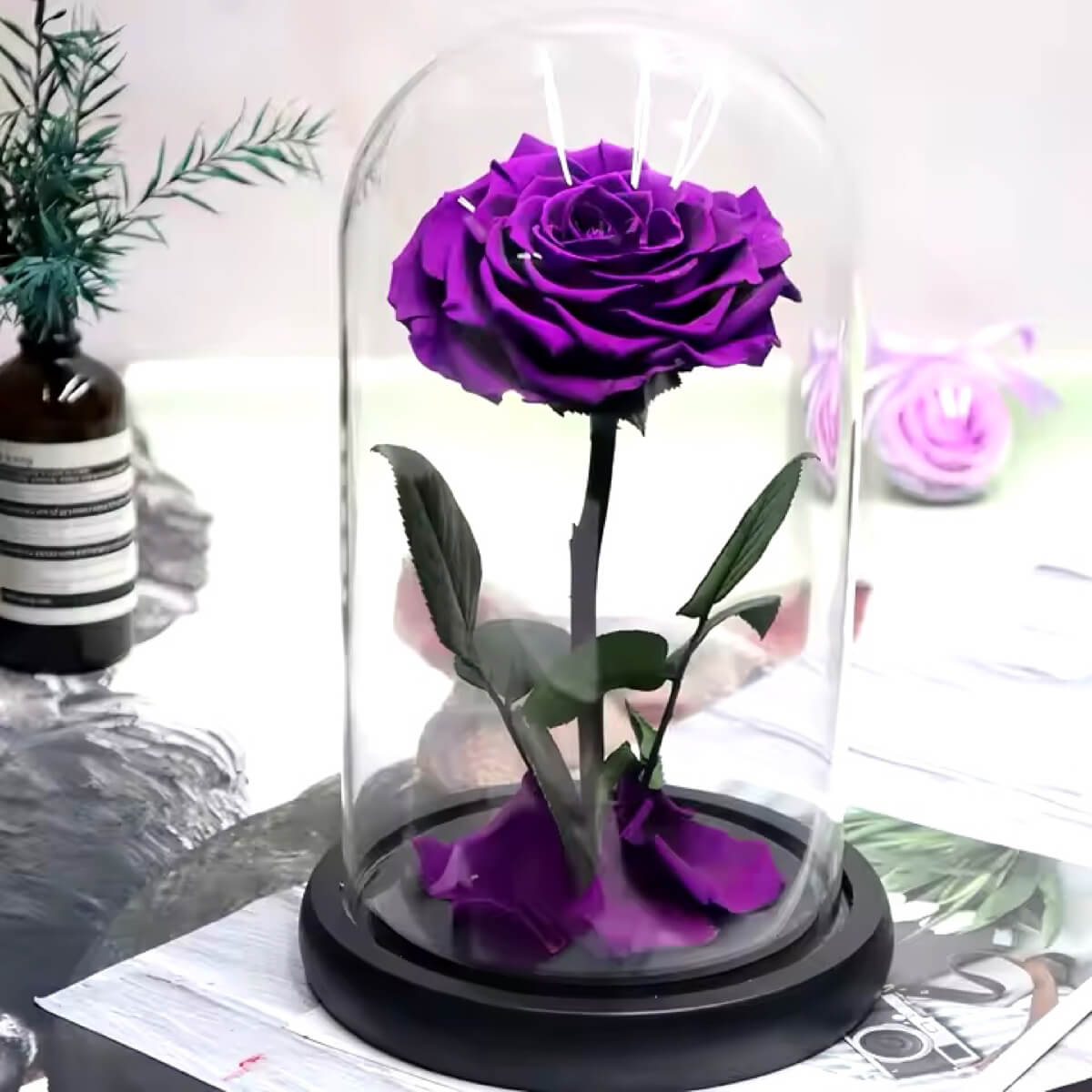 Trandafir Criogenat bella purpuriu deschis in cupola sticla, cu mesaj scris - Trandafir - Criogenat.ro