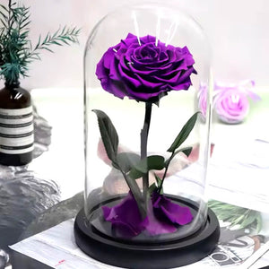 Trandafir Criogenat bella purpuriu deschis in cupola sticla, cu mesaj scris - Trandafir - Criogenat.ro