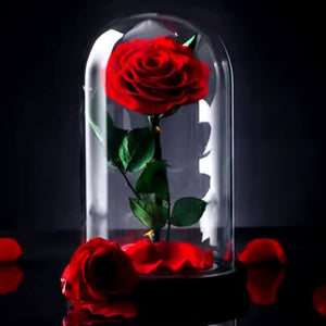 Trandafir Criogenat Bella Roșu În Cupolă De Sticlă Cadou Elegant Pentru Dragi - Trandafir - Criogenat.ro