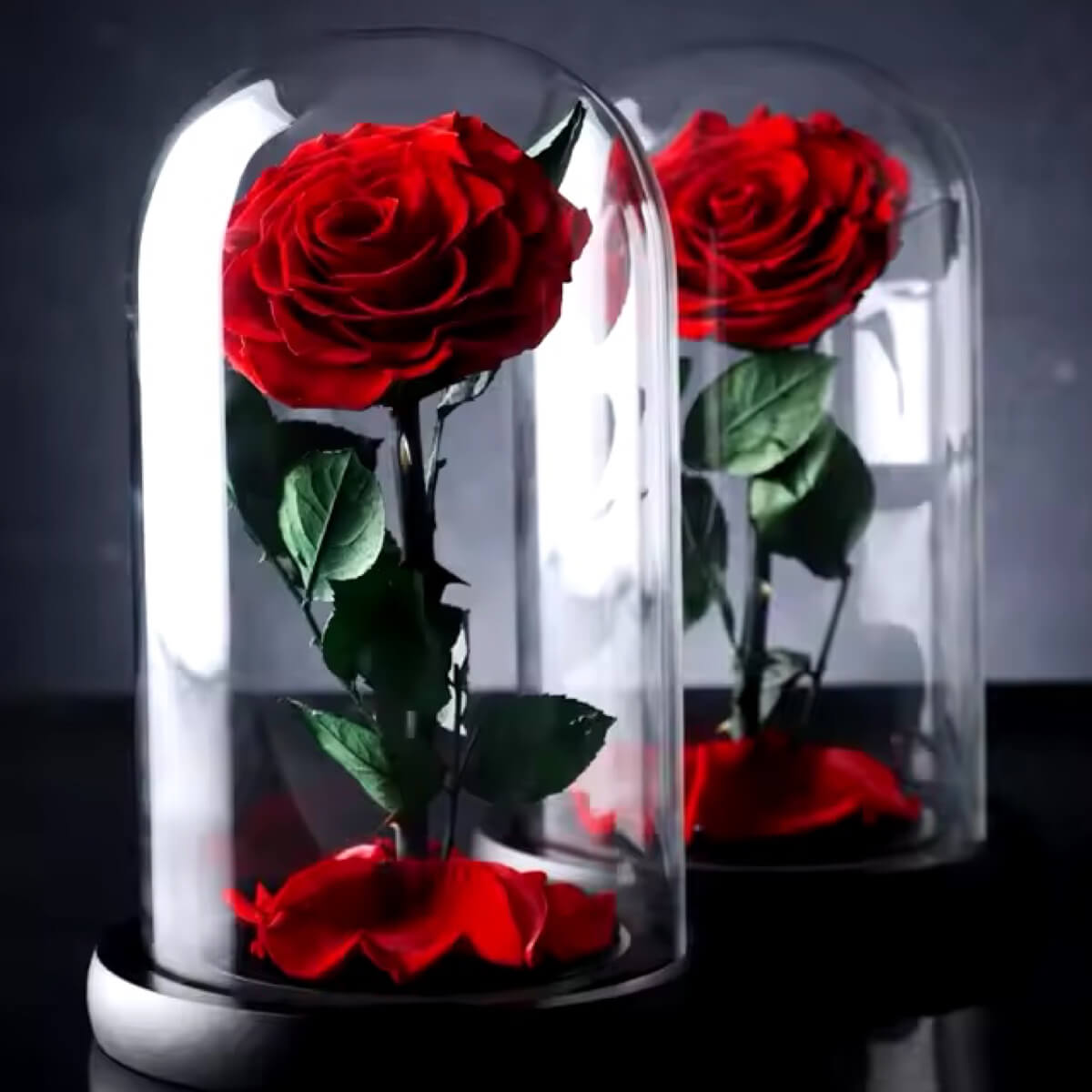 Trandafir Criogenat Bella Roșu În Cupolă De Sticlă Cadou Elegant Pentru Dragi - Trandafir - Criogenat.ro