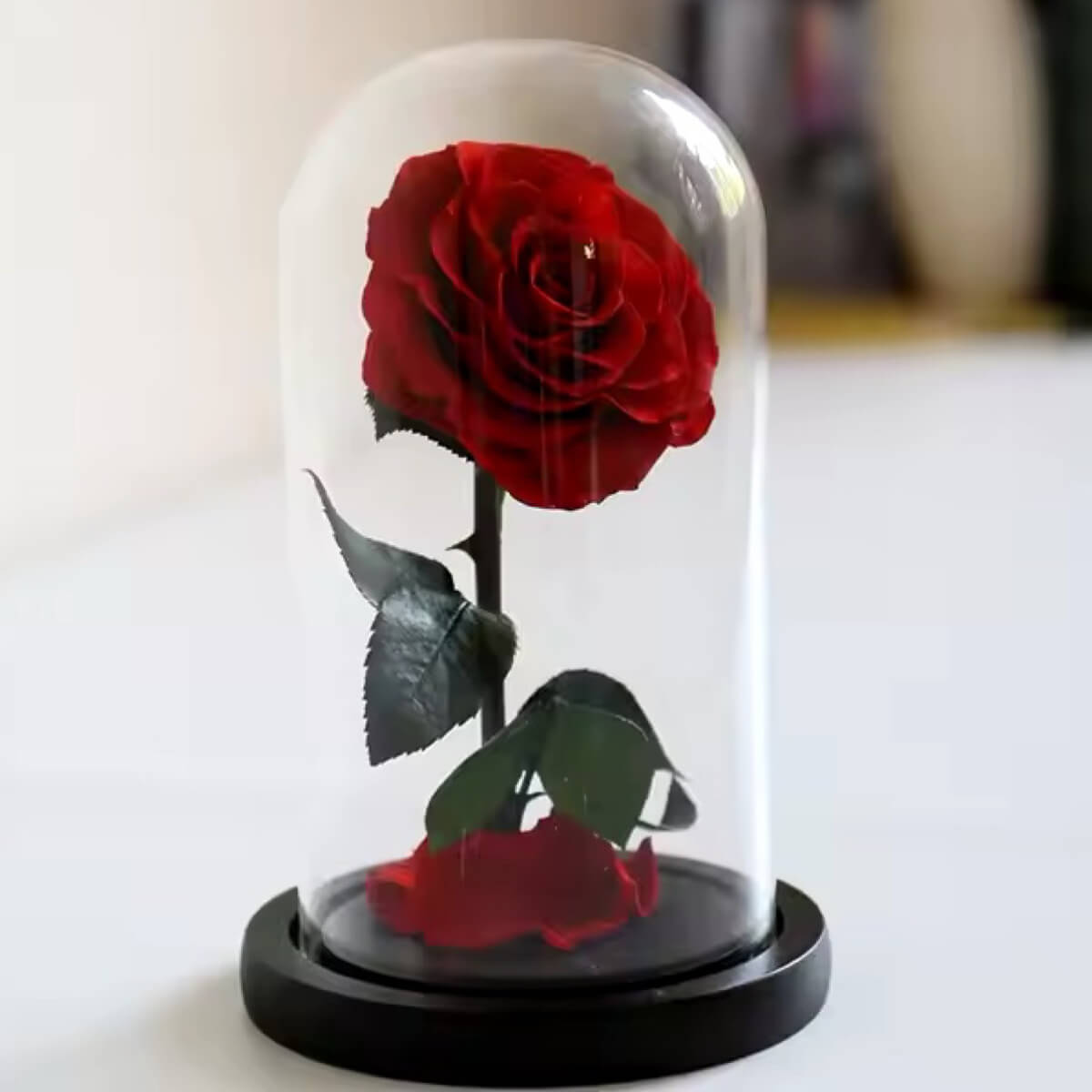 Trandafir Criogenat Bella Roșu Sub Cupolă De Sticlă Cadou Cu Mesaj Personalizat - Trandafir - Criogenat.ro
