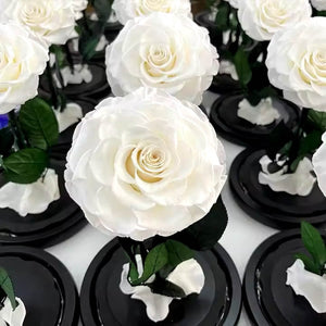 Trandafir Criogenat bonita alb in cupola de sticla, cu mesaj scris - Trandafir - Criogenat.ro