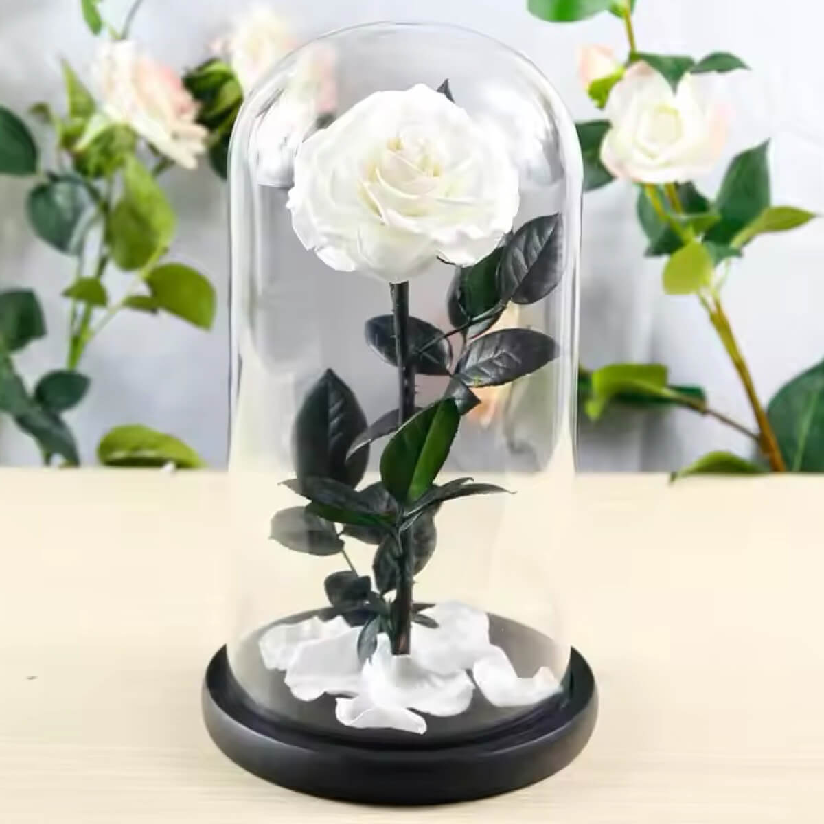 Trandafir Criogenat bonita alb in cupola de sticla, cu mesaj scris - Trandafir - Criogenat.ro