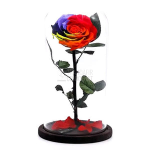 Trandafir Criogenat bonita multicolor in cupola de sticla, cu mesaj scris - Trandafir - Criogenat.ro