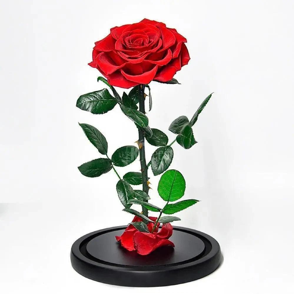 Trandafir Criogenat Bonita Rosu Cadou Eterna Dragoste Pana La 25 Ani Cupola - Trandafir - Criogenat.ro