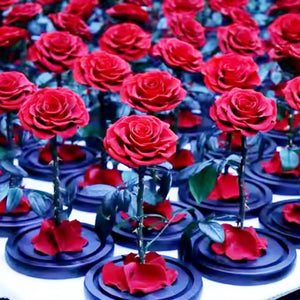 Trandafir Criogenat Bonita Roșu Cupolă Sticlă Mesaj Personalizat Diametru 9,5 Cm - Trandafir - Criogenat.ro