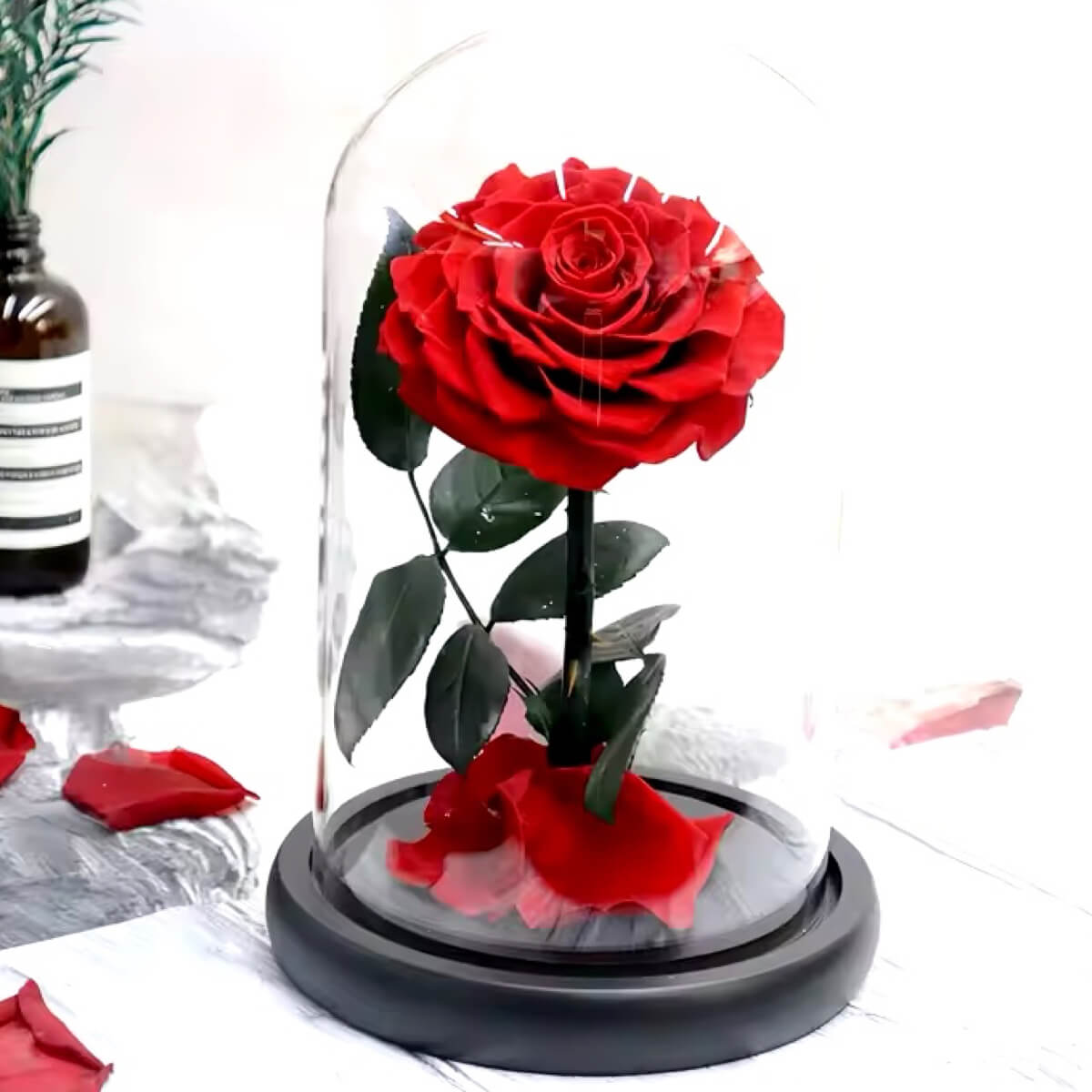 Trandafir Criogenat Bonita Roșu Cupolă Sticlă Mesaj Personalizat Diametru 9,5 Cm - Trandafir - Criogenat.ro