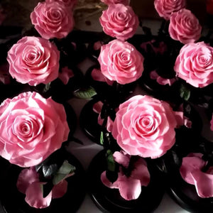 Trandafir Criogenat Bonita Roz În Cupolă De Sticlă Cadou Personalizat Cu Mesaj - Trandafir - Criogenat.ro