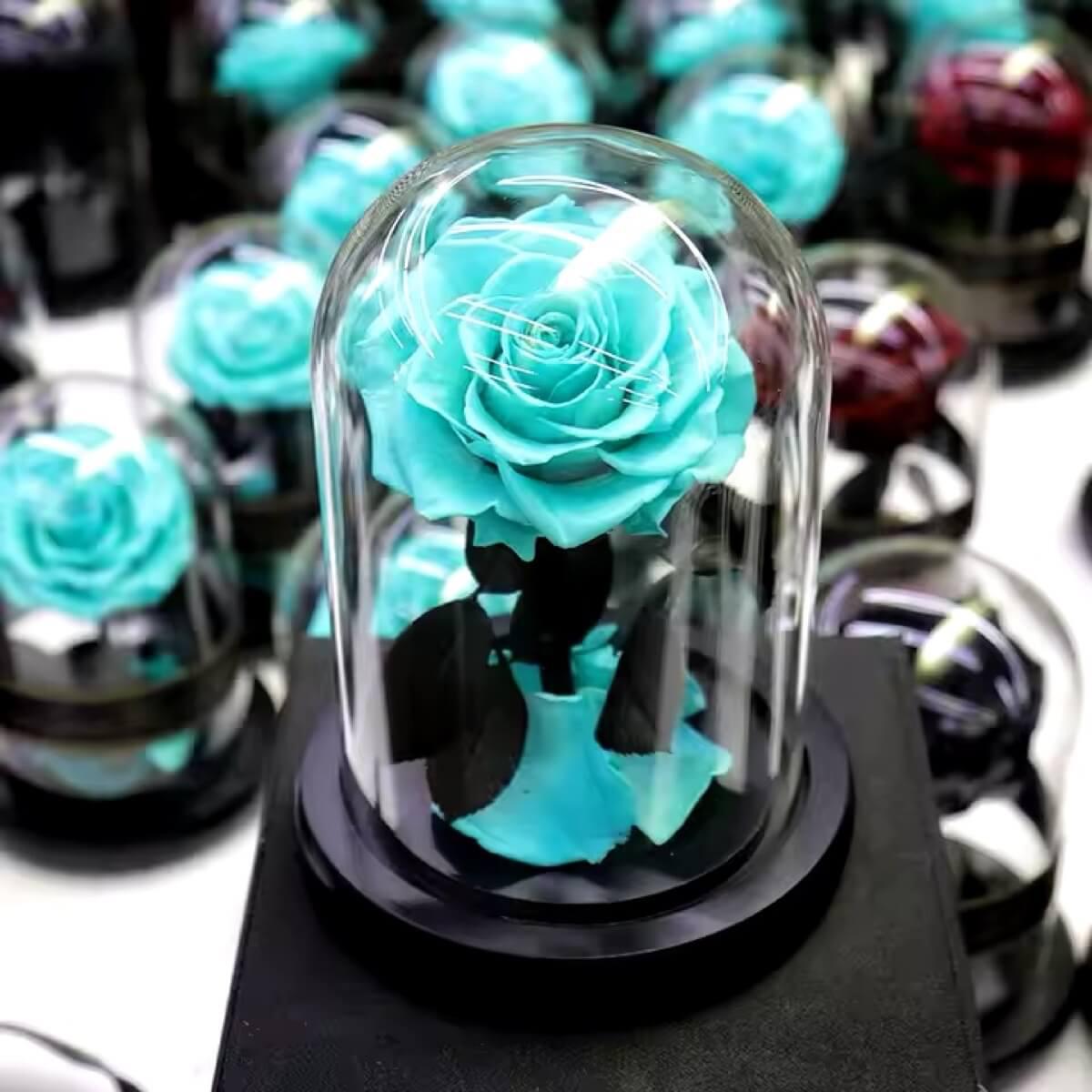 Trandafir Criogenat Bonita Turcoaz Cupola De Sticla Cu Mesaj Personalizat - Trandafir - Criogenat.ro