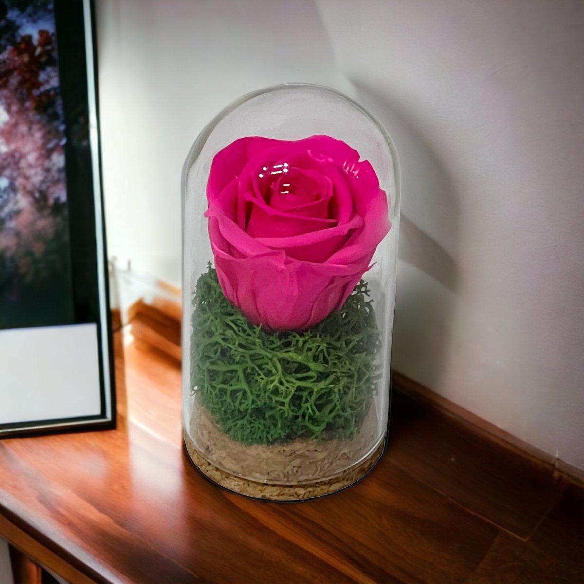 Trandafir Criogenat Ciclam în Cupolă de Sticlă Mică 5x9,5cm Mărturie Elegantă - Trandafir - Criogenat.ro