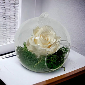 Trandafir Criogenat Crem În Glob De Sticlă Cu Diametru De 12cm Cadou Elegant - Trandafir - Criogenat.ro