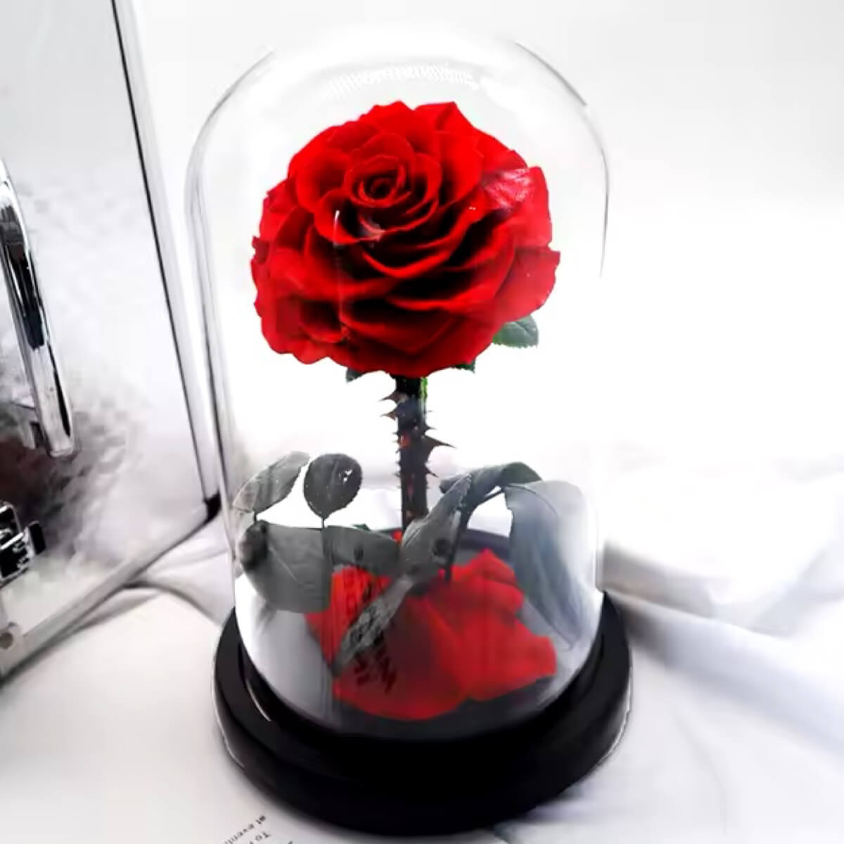 Trandafir Criogenat Elegant Bella Roșu Sub Cupolă de Sticlă Cadou Perfect - Trandafir - Criogenat.ro