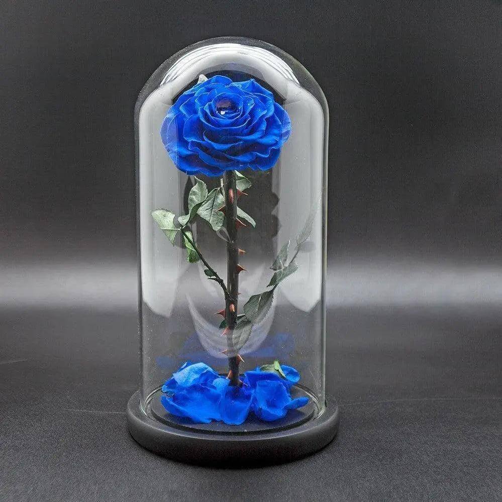 Trandafir Criogenat Etern Bella Albastru Cupolă Sticlă Pe Suport Lemn 12x25 Cm - Trandafir - Criogenat.ro