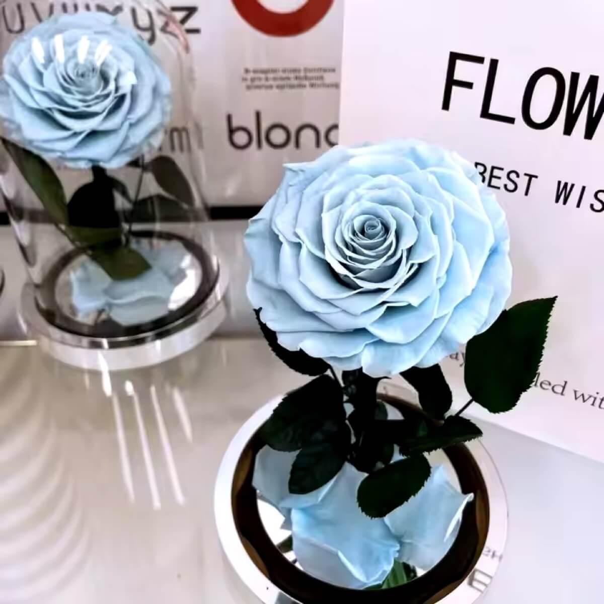 Trandafir Criogenat Etern Bonita Bleu In Cupola De Sticla De 9,5 Cm Premium - Trandafir - Criogenat.ro