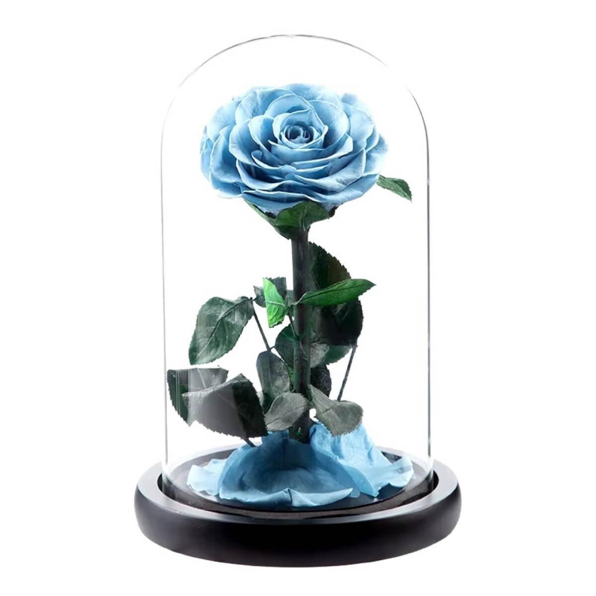 Trandafir Criogenat Etern Bonita Bleu In Cupola De Sticla De 9,5 Cm Premium - Trandafir - Criogenat.ro
