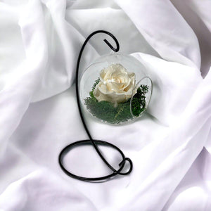 Trandafir Criogenat Etern În Glob De Sticlă Suspendat 10 Cm Crem 25 Ani - Trandafir - Criogenat.ro