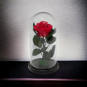 Trandafir Criogenat Etern Premium Roz Inchis In Cupola De Sticla Diametru 8 Cm - Trandafir - Criogenat.ro