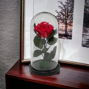 Trandafir Criogenat Etern Premium Roz Inchis In Cupola De Sticla Diametru 8 Cm - Trandafir - Criogenat.ro