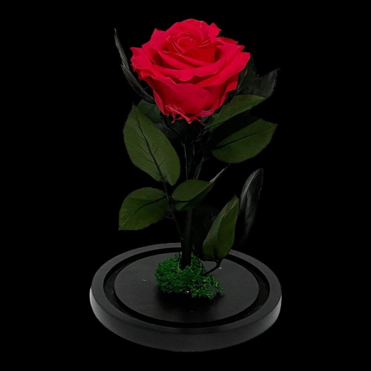 Trandafir Criogenat Etern Premium Roz Inchis In Cupola De Sticla Diametru 8 Cm - Trandafir - Criogenat.ro