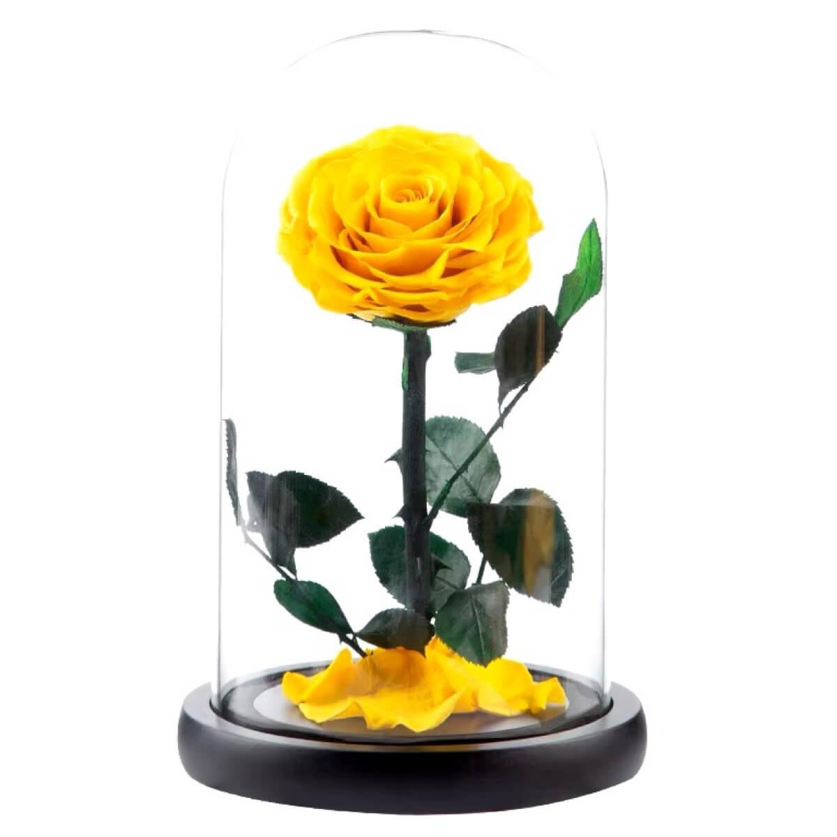 Trandafir Criogenat Galben Bonita Cupolă de Sticlă cu Mesaj Personalizat Cadou - Trandafir - Criogenat.ro