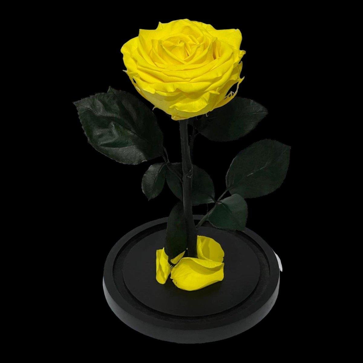 Trandafir Criogenat Galben Excepțional În Cupolă De Sticlă Cadou Elegant - Trandafir - Criogenat.ro
