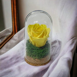 Trandafir Criogenat Galben În Cupolă De Sticlă 5x9,5 Cm Cadou Elegant Durabil - Trandafir - Criogenat.ro