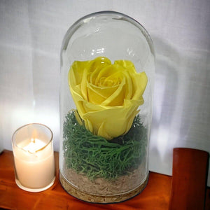 Trandafir Criogenat Galben În Cupolă De Sticlă 5x9,5 Cm Cadou Elegant Durabil - Trandafir - Criogenat.ro