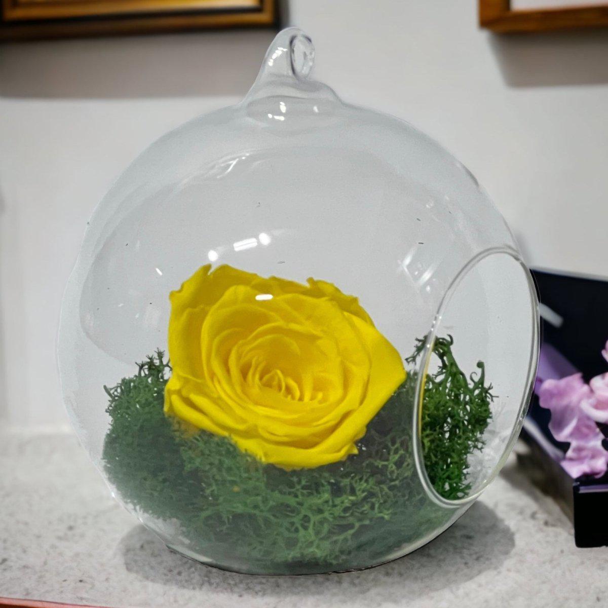 Trandafir Criogenat Galben În Glob De Sticlă 12cm Cadou Nemuritor Pentru Iubire - Trandafir - Criogenat.ro