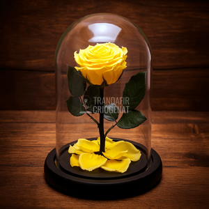 Trandafir Criogenat galben premium in cupola de sticla 12x25cm, cu mesaj scris - Trandafir - Criogenat.ro