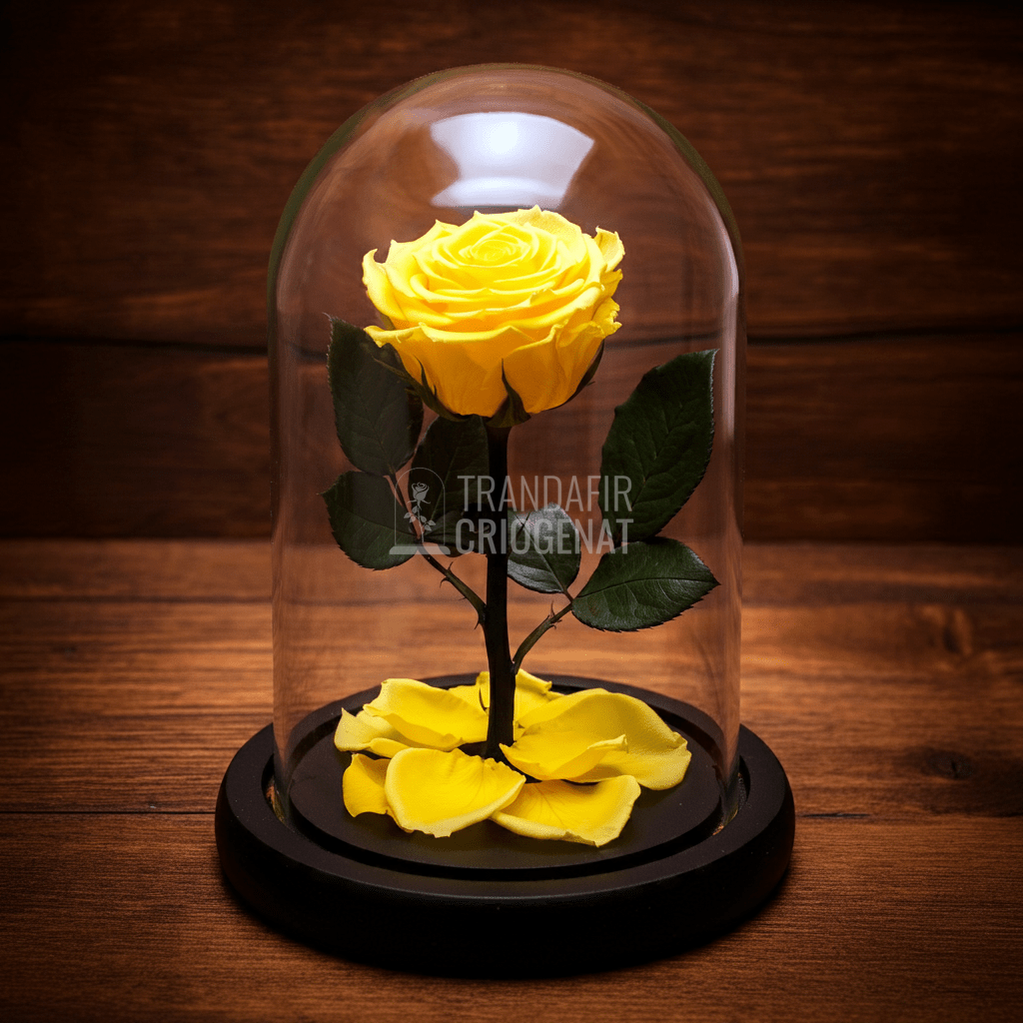 Trandafir Criogenat galben premium in cupola de sticla 12x25cm, cu mesaj scris - Trandafir - Criogenat.ro