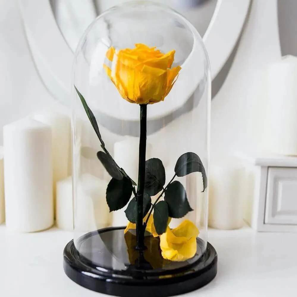 Trandafir Criogenat Galben XL în Cupolă Elegantă de Sticlă 12x25cm Cadou Ideal - Trandafir - Criogenat.ro