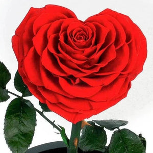Trandafir Criogenat Inimă Roșie 9cm Diametru Sub Cupolă De Sticlă 15x25cm Cadou - Trandafir - Criogenat.ro