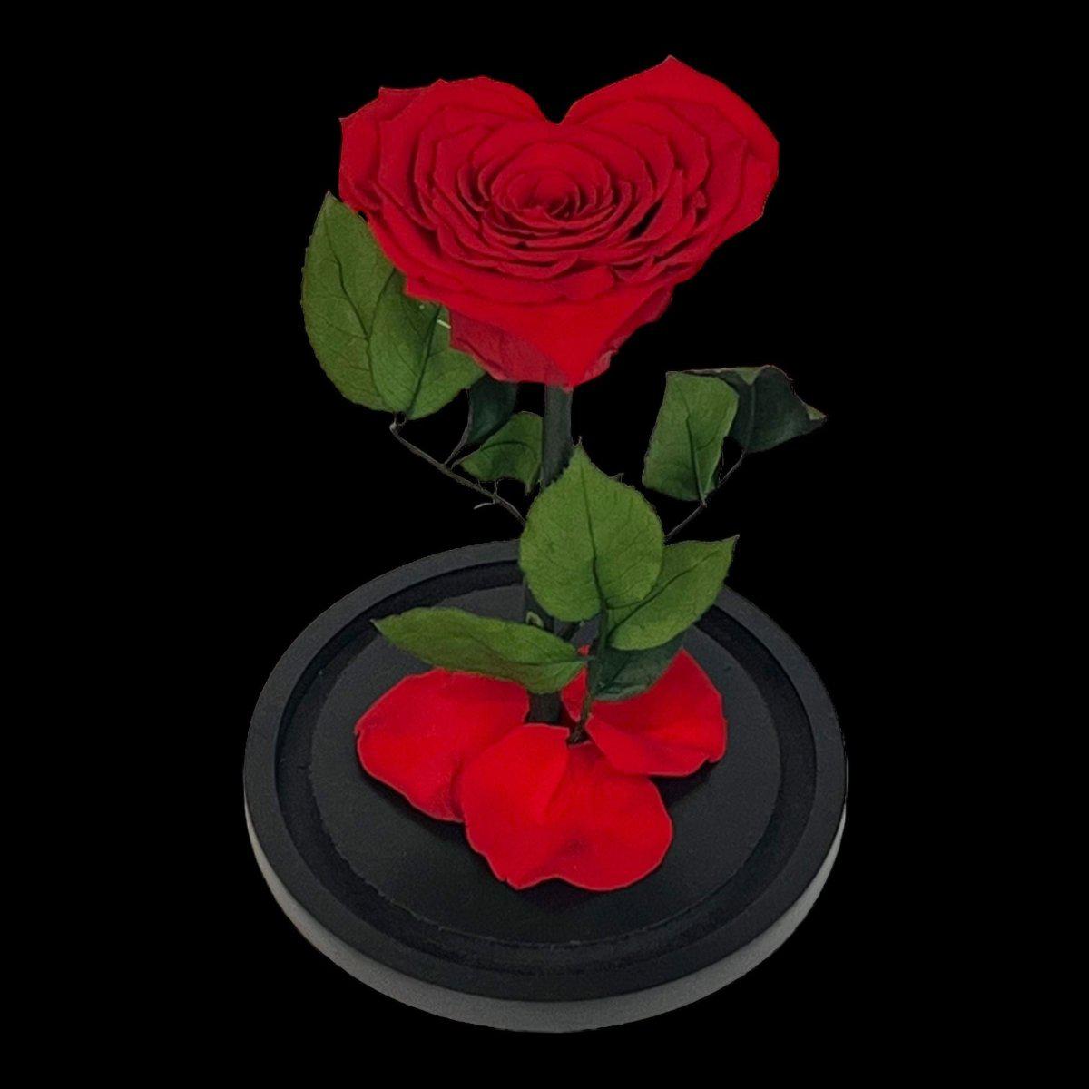 Trandafir Criogenat Inima Rosie Cu Cupolă De Sticlă 15x25cm Cadou Etern Iubire - Trandafir - Criogenat.ro