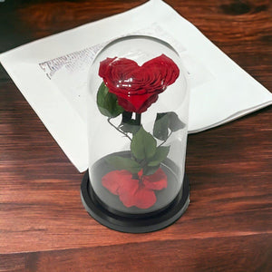 Trandafir Criogenat Inima Rosie Cu Cupolă De Sticlă 15x25cm Cadou Etern Iubire - Trandafir - Criogenat.ro